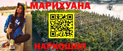 стаф Жуковский