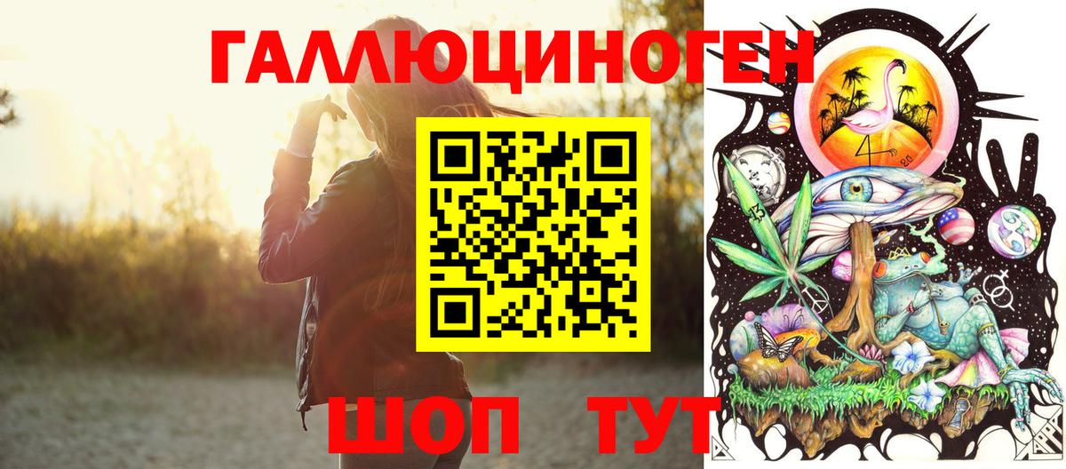 Миллерово  Псилоцибиновые грибы прущие грибы  Вход с VPN  Галлюциногенные грибы Psilocybine cubensis 